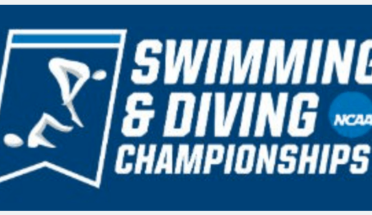 2023 NCAA Swimming and Diving Championships
